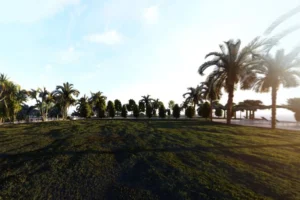 Compostella Cebu House and Lot for Sale